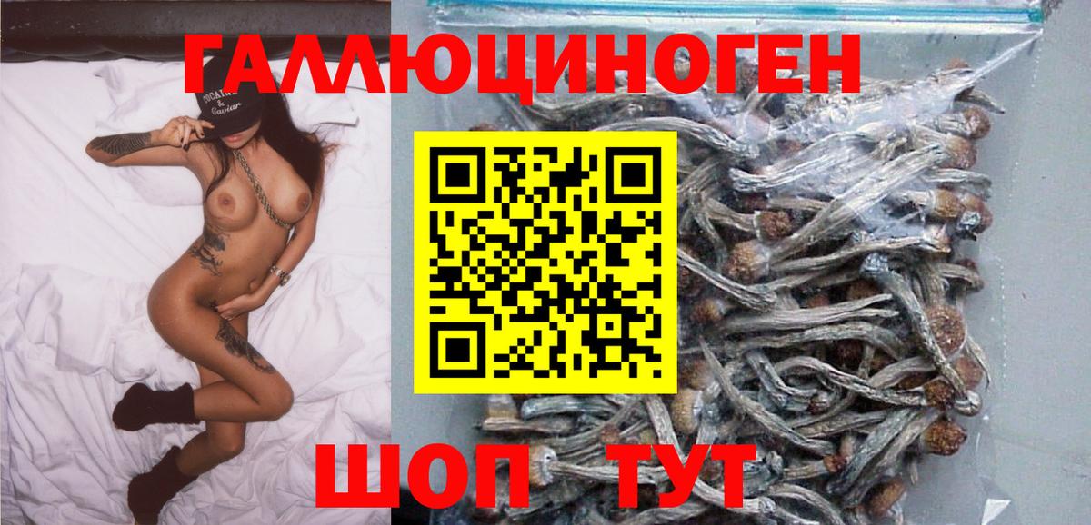 Галлюциногенные грибы мухоморы  наркота  Петрозаводск  Вход с VPN 